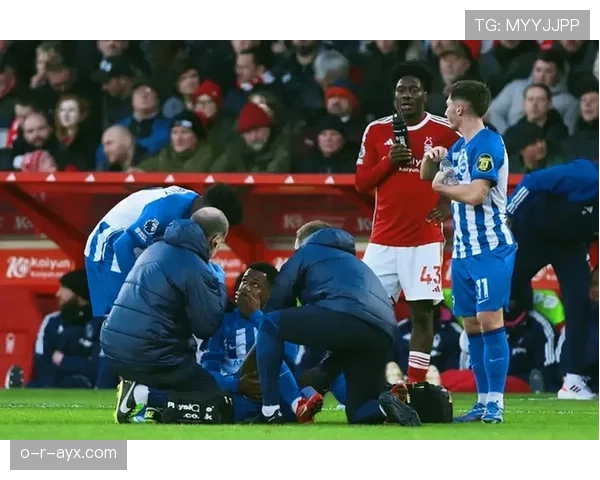 法蒂加盟布莱顿，英超新星开启职业生涯新篇章