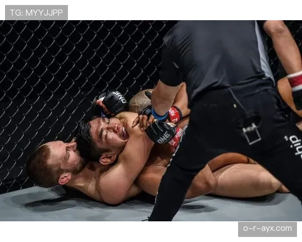 欧洲杯预选赛C组激烈角逐，关键战役或改写晋级格局